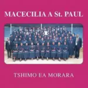 Macecilia A St. Paul - Lona Le Metswale